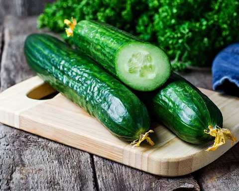 تصویر 3 از خرید خیار درختی شمال + قیمت عالی باکیفیت