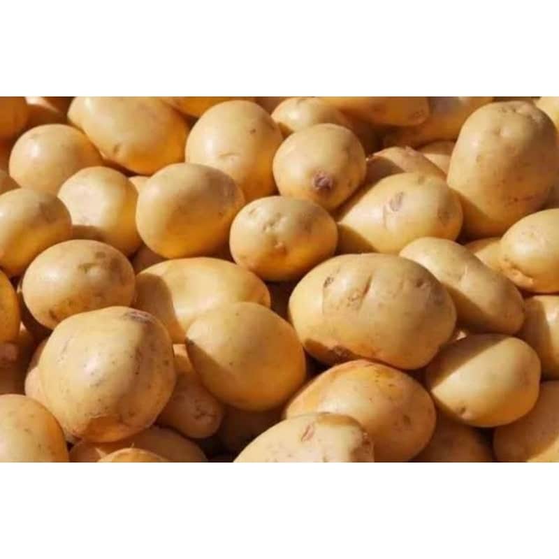 تصویر 3 از خرید و قیمت سیب زمینی گلستانی + فروش عمده