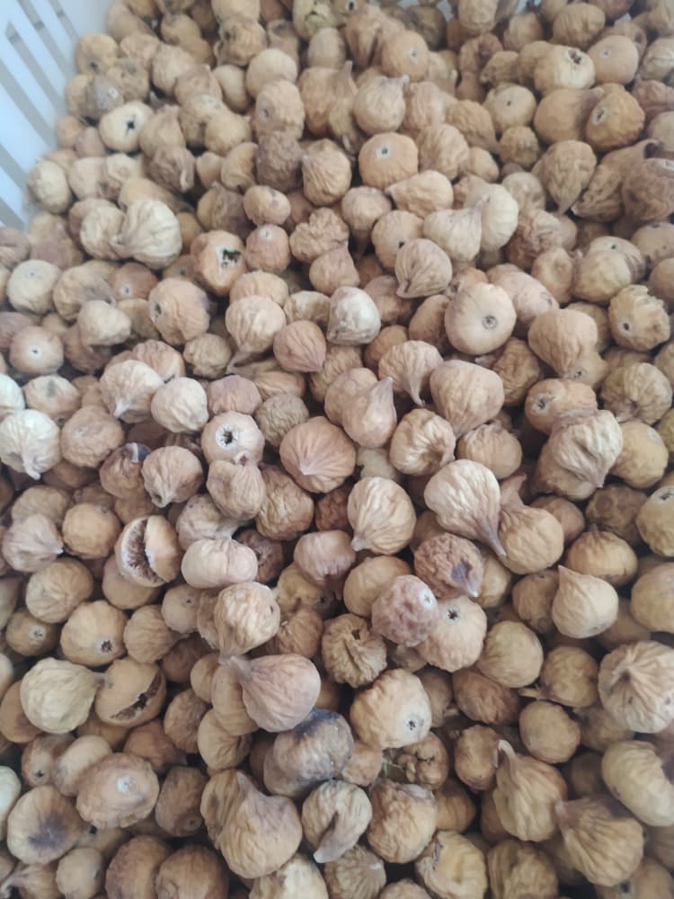 تصویر 1 از فروش عمده انجیر خشک صادراتی ریز + ارسال به سراسر جهان