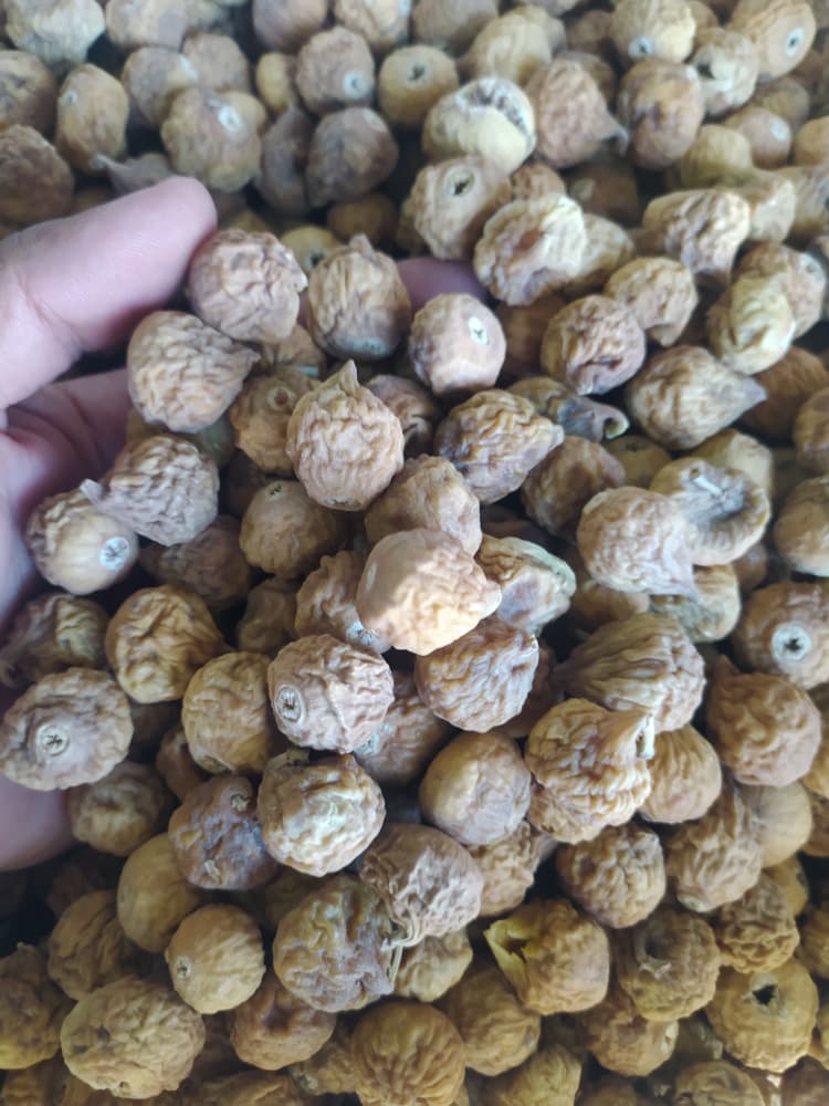 تصویر 2 از خرید اینترنتی انجیر شکلاتی با بهترین کیفیت