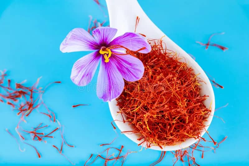 تصویر 3 از خرید زعفران سر گل شکسته + قیمت فروش استثنایی