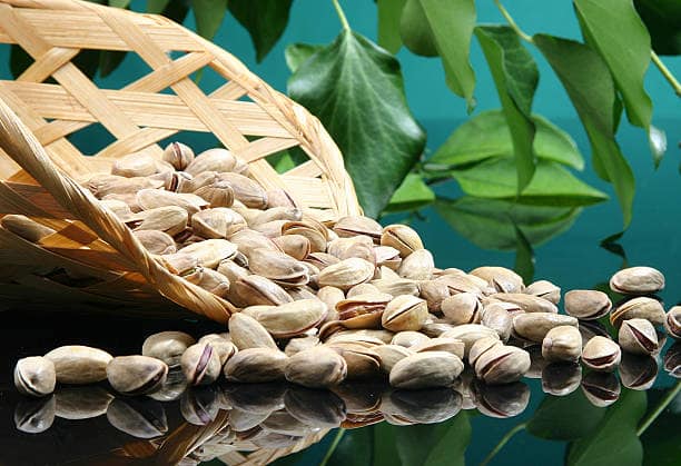 تصویر 3 از قیمت پسته اکبری انس 24 + خرید باور نکردنی