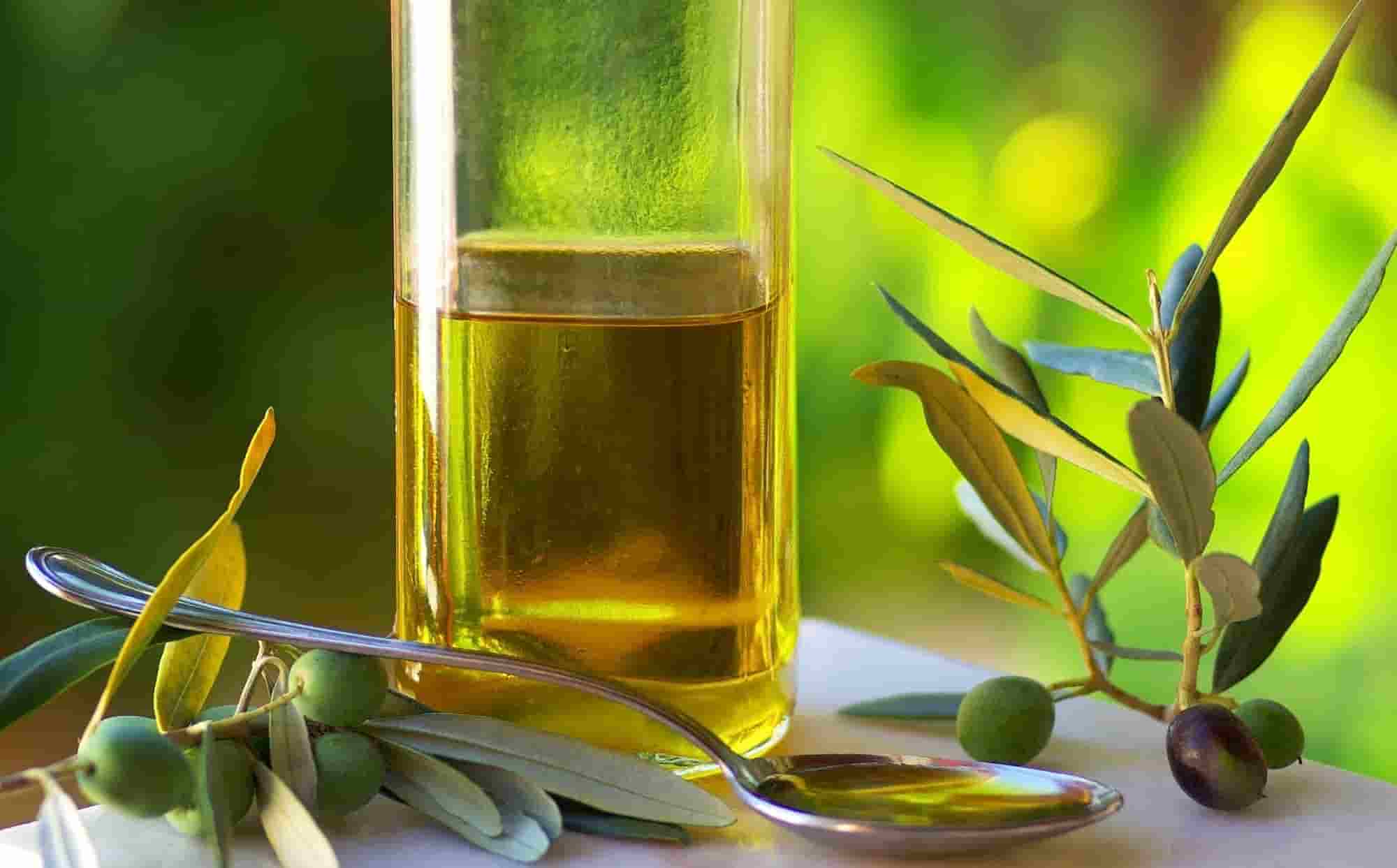 تصویر 2 از قیمت خرید روغن زیتون صادراتی + فروش ویژه