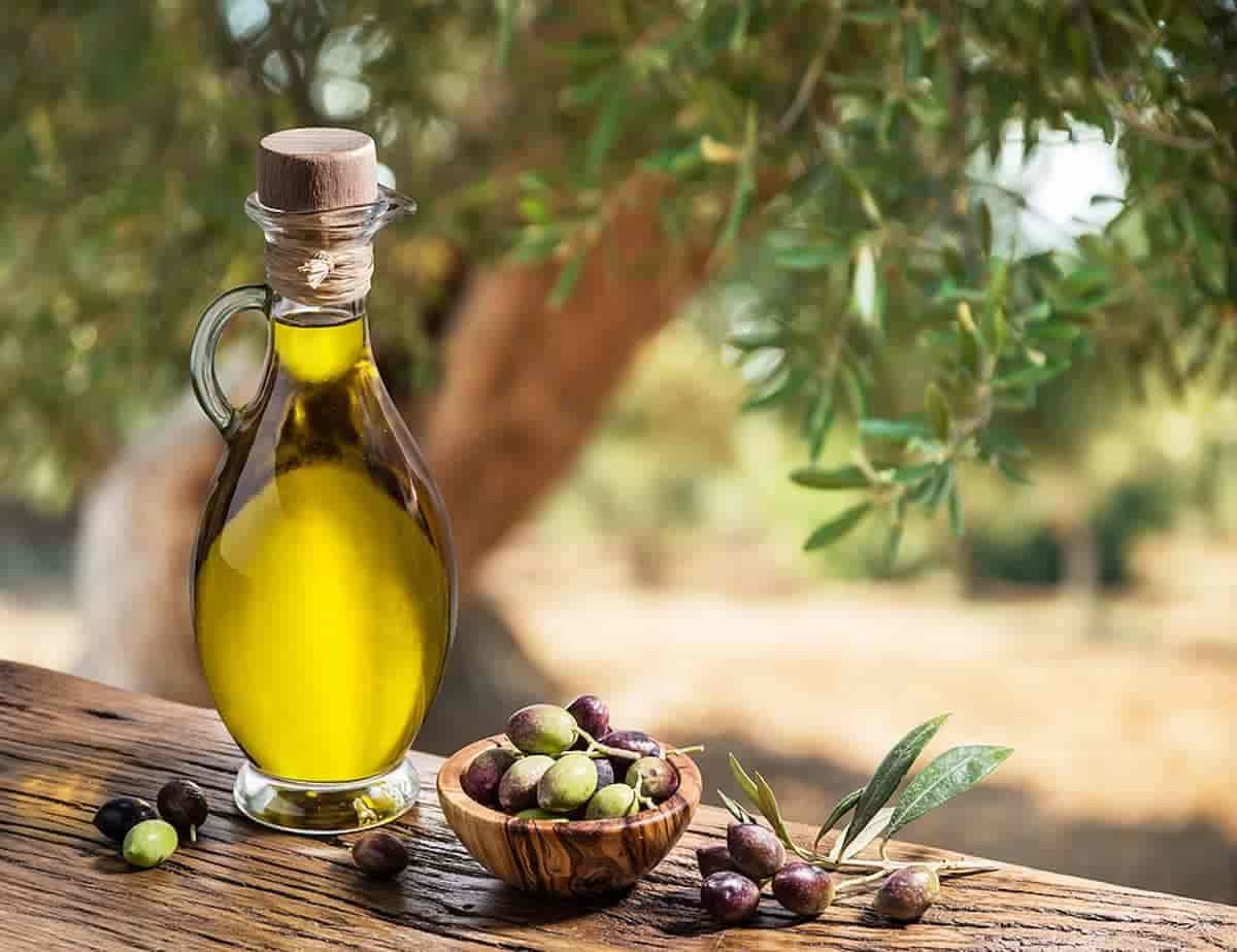 تصویر 1 از قیمت خرید روغن زیتون یک لیتری فرابکر عمده به صرفه و ارزان