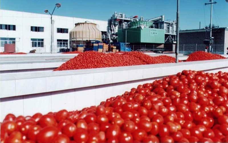 تصویر 1 از قیمت خرید رب گوجه فرنگی 800 گرمی + فروش ویژه