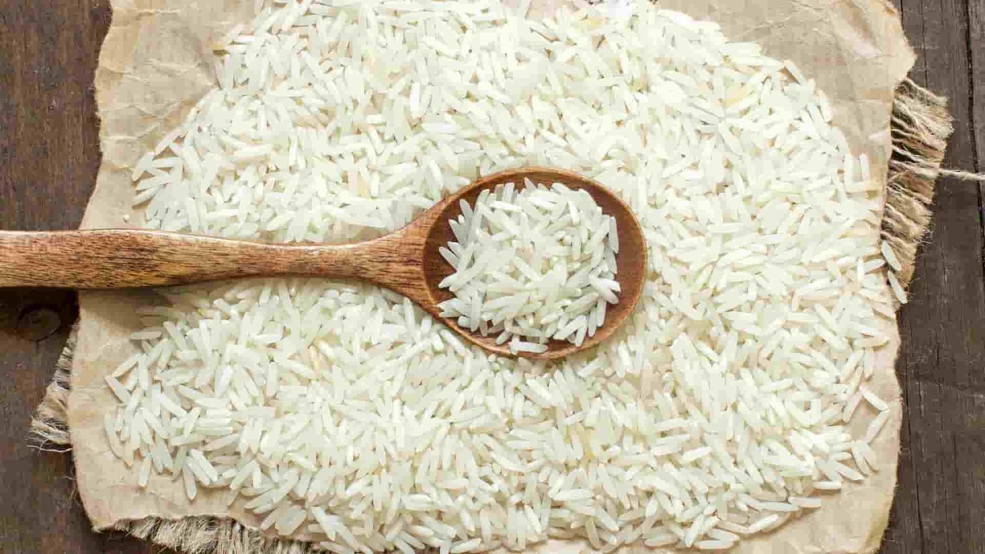 خرید و فروش برنج هاشمی شمال با شرایط فوق العاده