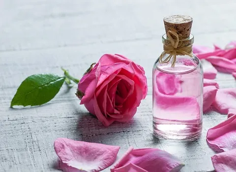 تصویر 1 از خرید گلاب دو آتیشه درجه یک + قیمت فروش استثنایی