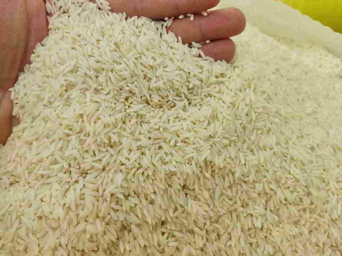 تصویر 1 از قیمت و خرید برنج هاشمی دودی + فروش ارزان
