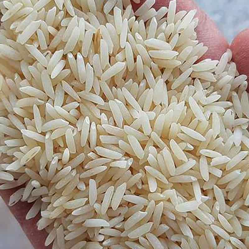 قیمت و خرید برنج هاشمی دودی + فروش ارزان