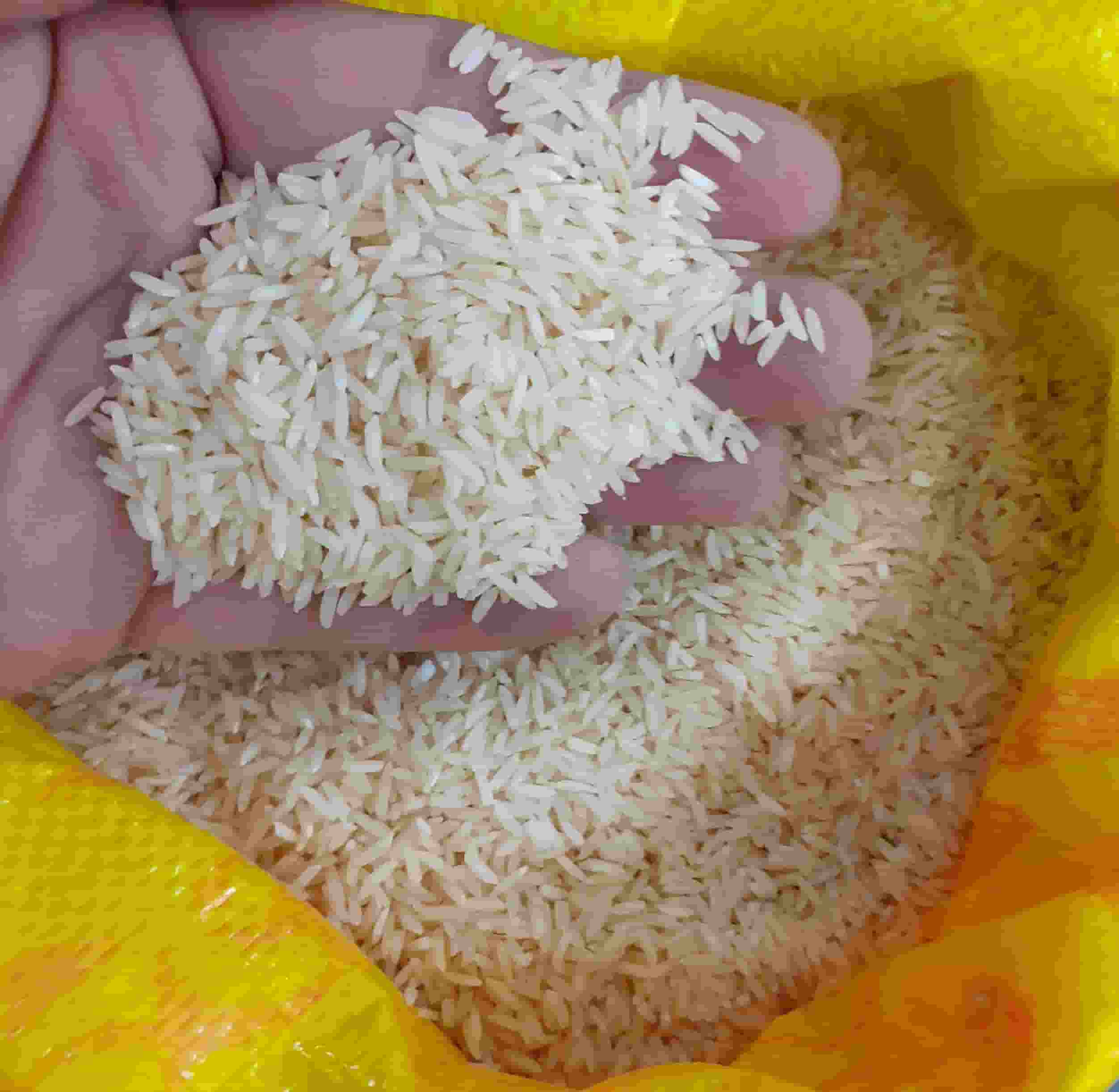 تصویر 2 از قیمت و خرید برنج هاشمی دودی + فروش ارزان