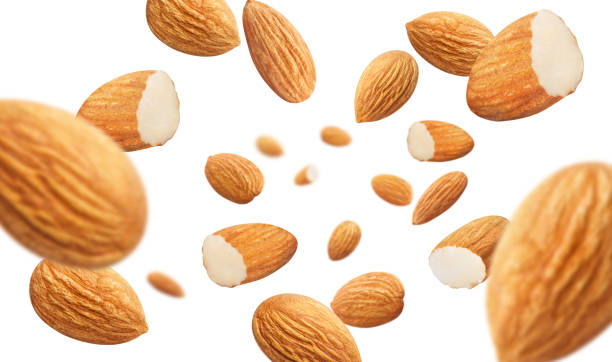 قیمت خرید مغز بادام با فروش عمده