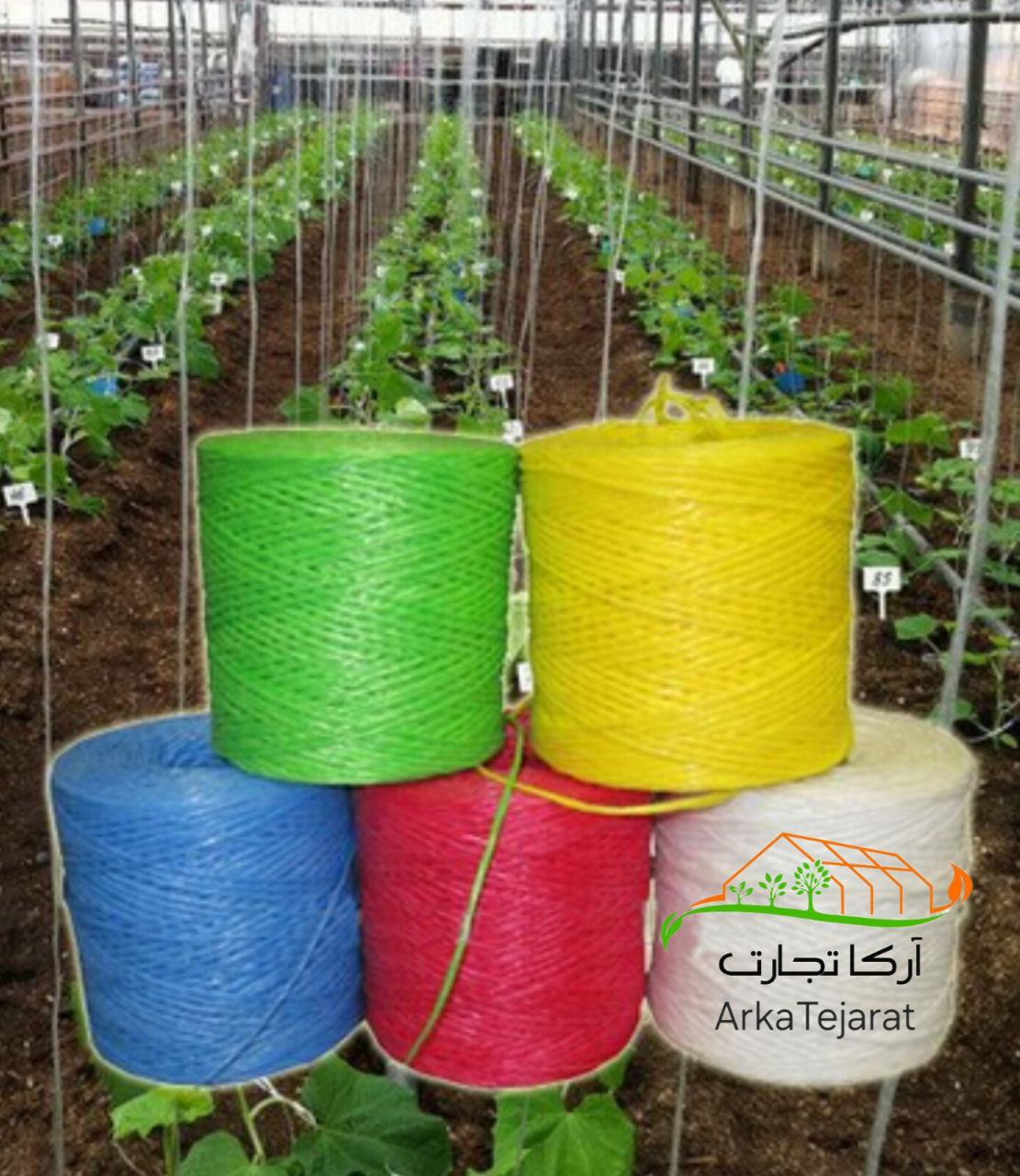 تصویر 2 از فروش نخ گلخانه خیار به قیمت عمده + خرید باور نکردنی