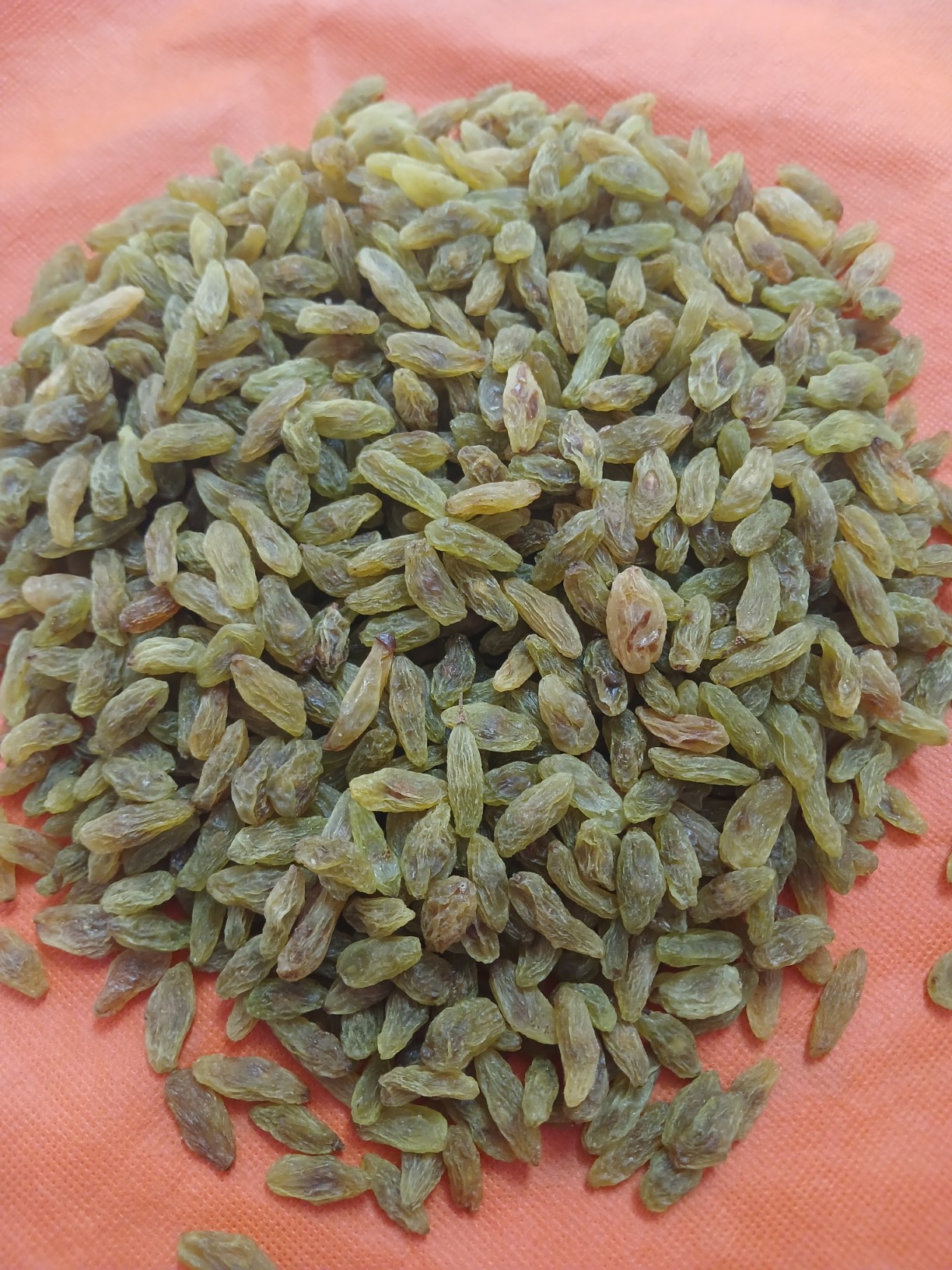 تصویر 1 از عرضه مستقیم کشمش سبز قلمی
