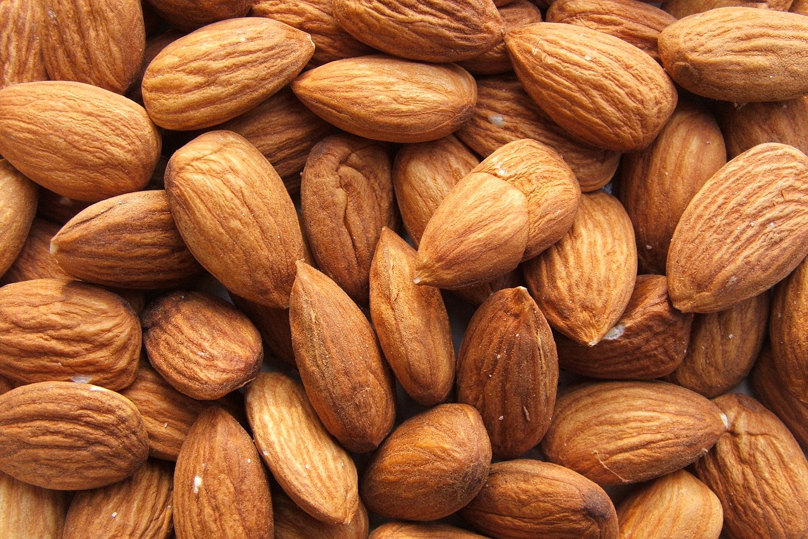 تصویر 5 از خرید و قیمت مغز بادام درجه یک + فروش عمده