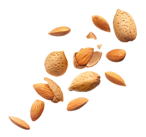 تصویر 5 از قیمت و خرید مغز بادام درجه یک + فروش ارزان