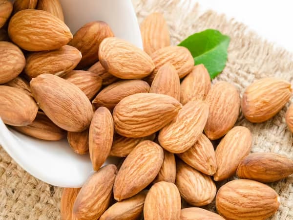 تصویر 5 از خرید و قیمت مغز بادام درختی + فروش عمده