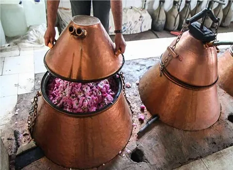 تصویر 4 از خرید و فروش گلاب بهار کاشان با شرایط فوق العاده