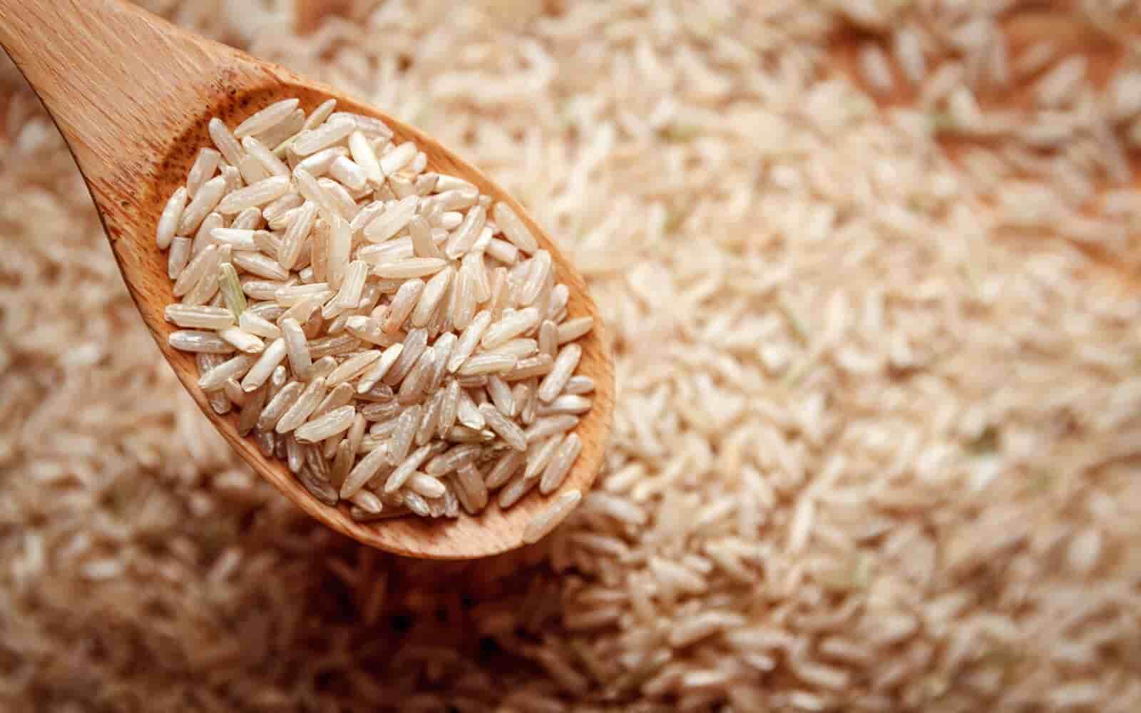 تصویر 1 از معرفی برنج هاشمی تشریفاتی + بهترین قیمت خرید