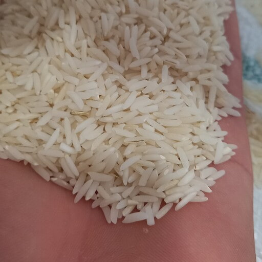 تصویر 2 از قیمت و خرید برنج هاشمی دم سیاه + فروش ارزان