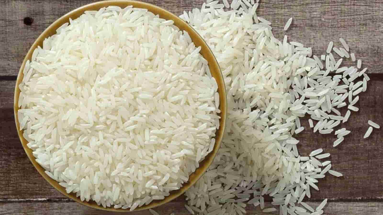 قیمت و خرید برنج هاشمی دم سیاه + فروش ارزان