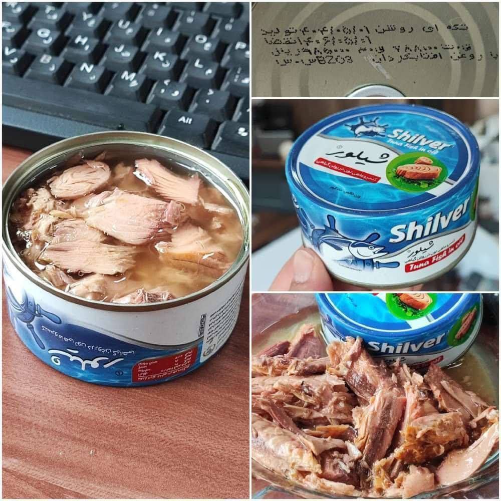 تن ماهی شیلور هوور خطی