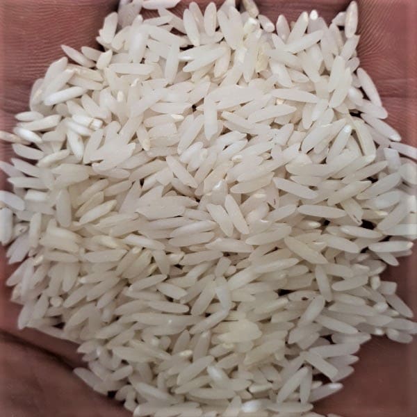 تصویر 2 از قیمت خرید برنج هاشمی شمال + فروش ویژه