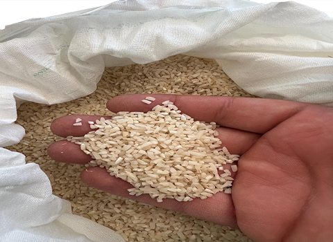 تصویر 1 از قیمت خرید برنج نیم دانه صدری هاشمی عمده به صرفه و ارزان
