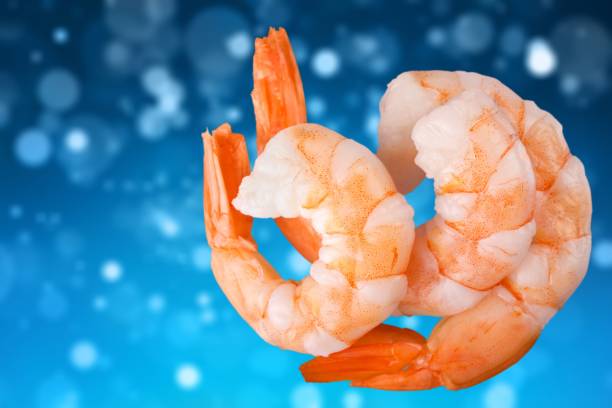 تصویر 2 از فروش عمده میگو پرورشی سایز 80