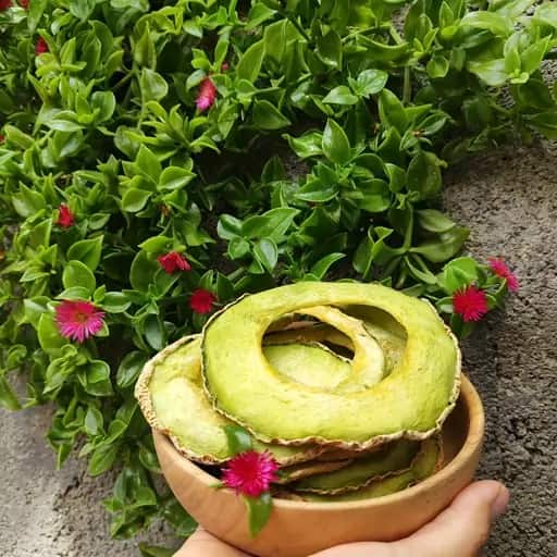 تصویر 1 از خرید و قیمت طالبی خشک شده مرغوب + فروش صادراتی