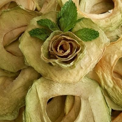 طالبی خشک مرغوب وخوش طعم