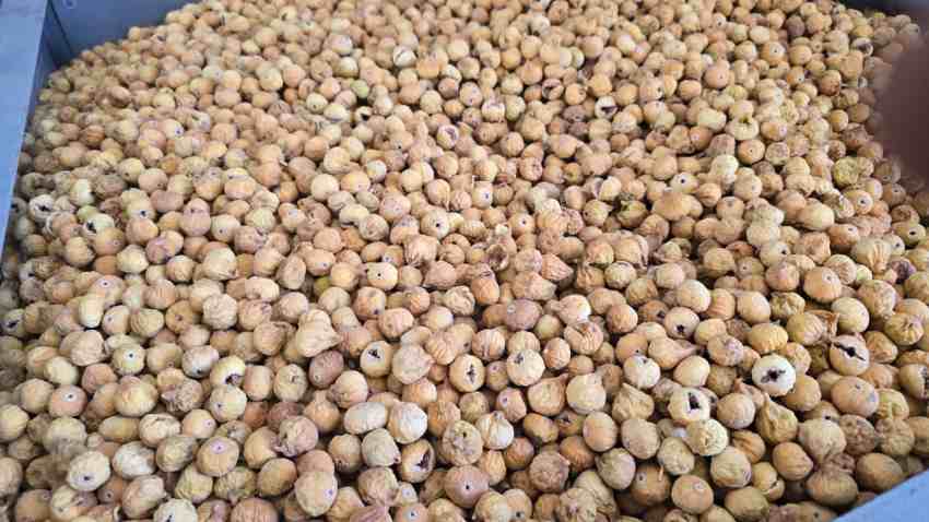 تصویر 3 از قیمت انجیر خشک غنچه + قیمت فوق‌ العاده