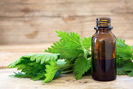 تصویر 1 از خرید عرق گزنه + قیمت استثنایی