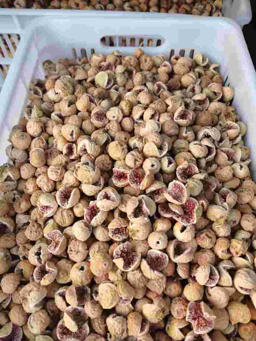 تصویر 4 از خرید انجیر خشک صد یک + فروش عمده