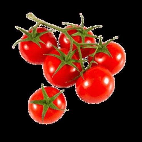 تصویر 5 از خرید و قیمت رب گوجه فرنگی کامروز + 5 کیلویی درجه یک