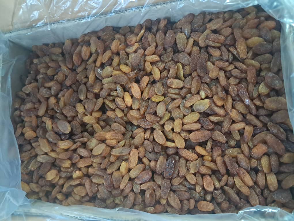 تصویر 1 از قیمت کشمش بدون هسته