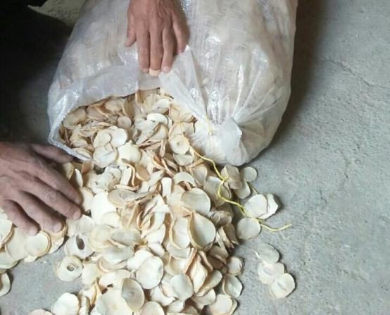تصویر 1 از فروش عمده موسیر اسلایس صادراتی طعم اصیل ایران با برند روناکو