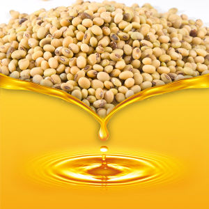 مرکز فروش روغن خام سویا گالن 20 لیتری + قیمت باور نکردنی