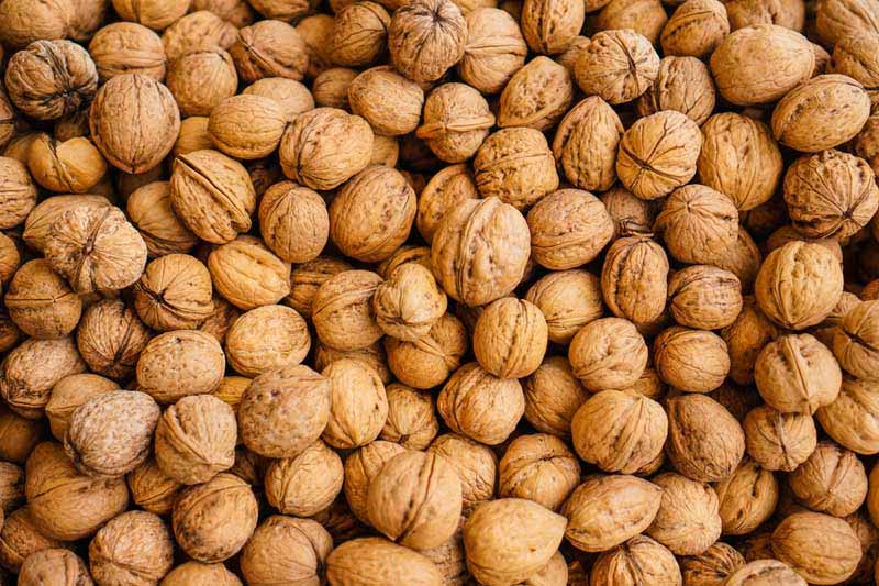تصویر 1 از گردو با پوست کاغذی آذرشهر مستقیم از کشاورز + با قیمت به صرفه