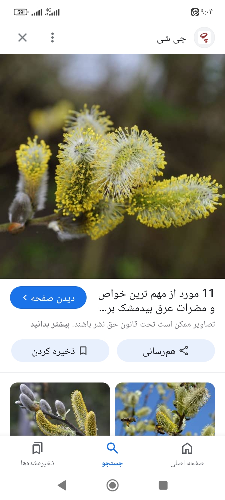 تصویر 2 از عرق بیدمشک + فروش استثنایی