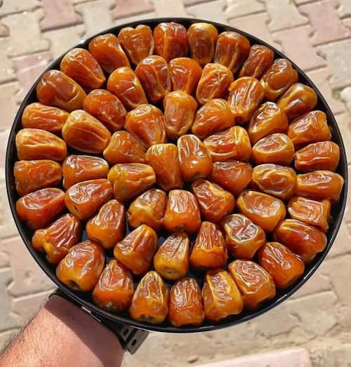 تصویر 1 از خرید خرما زاهدی (قصب) خشک و درجه یک