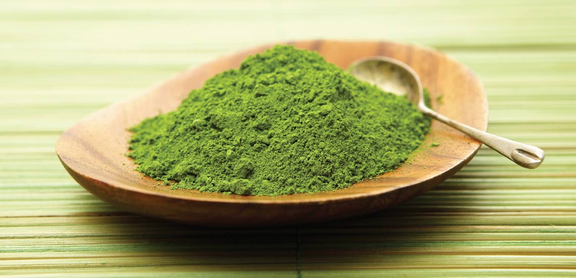 فروش پودر چای سبز فله