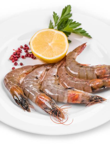 تصویر 2 از خرید میگو سرتیز