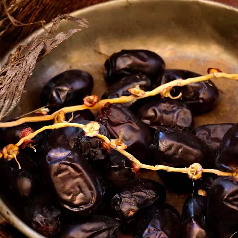 تصویر 4 از خرید و قیمت خرما مضافتی صادراتی + فروش عمده