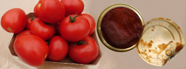 تصویر 4 از فروش رب گوجه فرنگی کارخانه ای
