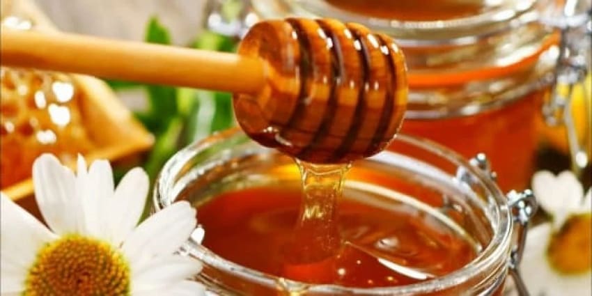 تصویر 3 از خرید عسل چهل گیاه ممتاز  + قیمت فروش استثنایی