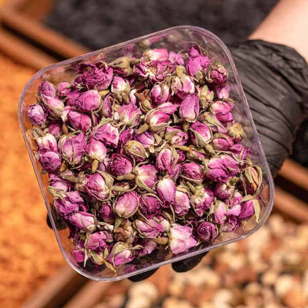 تصویر 1 از قیمت خرید غنچه گل محمدی خشک شده + فروش ویژه