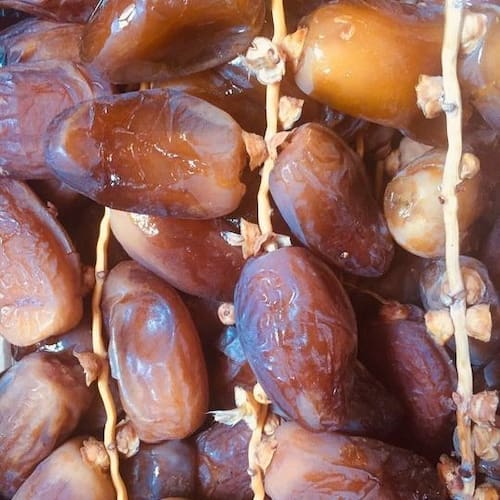 تصویر 4 از قیمت روز خرمای کبکاب اهواز + فروش ویژه