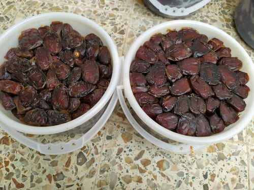 تصویر 3 از قیمت خرید خرما کبکاب بهبهان + فروش ویژه
