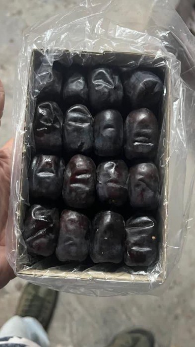 تصویر 2 از خرما مضافتی بوشهر عمده بهترین بسته بندی شده + قیمت ویژه