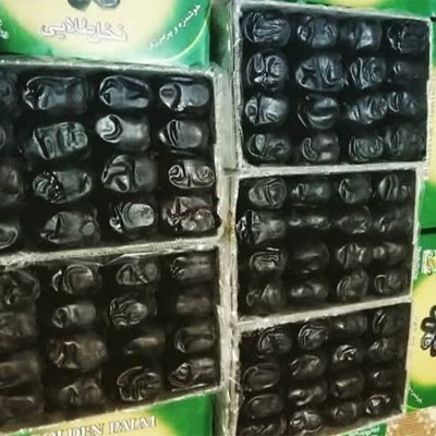 تصویر 1 از خرید خرما مضافتی کرمان صادراتی به کشور آفریقا و بنگلادش